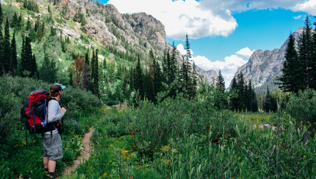 Hiking the Scenic Trails